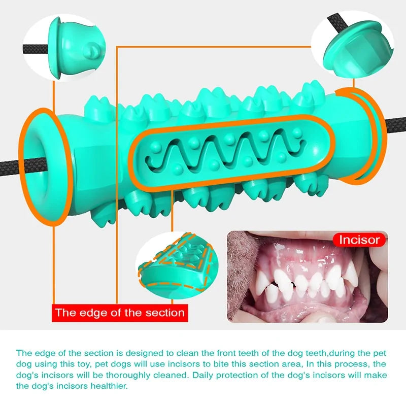 Ultimate Dog Chew Toothbrush Toy: Keep Your Pup's Teeth Clean and Healthy! - The Blend Barn