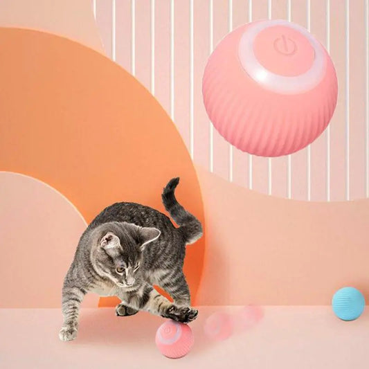 Interactive Pet Toy Moving Ball